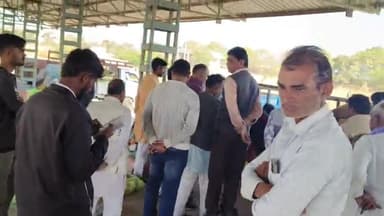 मोहन बड़ोदिया: मोहन बड़ोदिया मंडी में मंगलवार को सोयाबीन ₹4210 तक बिका