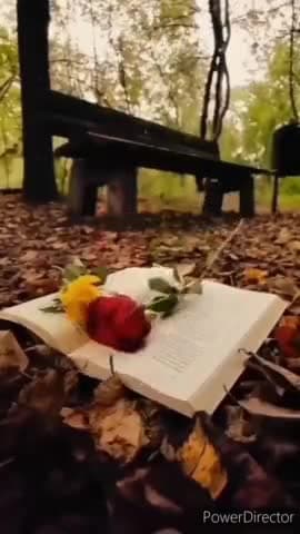 जिसे हम दिल का वीराना समझ कर छोड़ आये थे वहां उजड़े हुये शहरों के कुछ आसार. मिलते हैं--