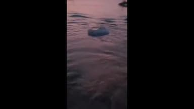 झांसी: धावारा भररोल में वेतवा नदी में हुआ चमत्कार, पानी में श्रीराम लिखा पत्थर उतरता मिला