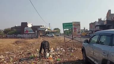 सुवासरा: सुवासरा जिला पंचायत अध्यक्ष ने केंद्रीय कृषि मंत्री को चीन की लहसुन पर प्रतिबंध लगाने का पत्र लिखा