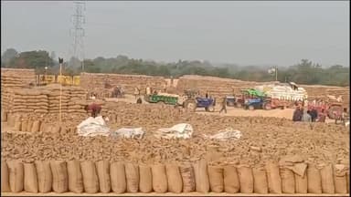 नागौद: नागौद और उंचेहरा क्षेत्र में धान की खरीद प्रभावित, उठाव नहीं होने से