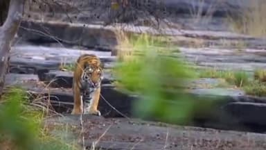 पन्ना: जिले में पर्यटन को बढ़ावा देने के लिए प्रशासन की अनोखी पहल, 20 से अधिक स्थलों को शामिल करते हुए पर्यटन स्थलों का कैलेंडर बन रहा है