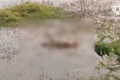 लखीसराय: पवई हाल्ट अंडरपास पुलिया के पास पानी में 35 वर्षीय अज्ञात व्यक्ति का शव मिला, पुलिस ने लिया कब्जे में