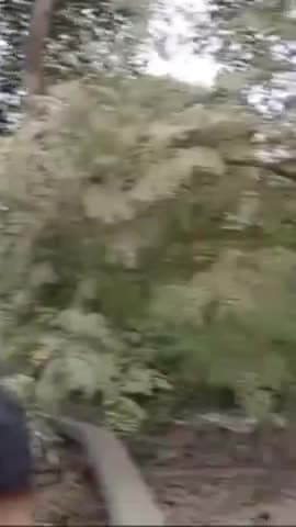 फरीदाबाद: फरीदाबाद की जवाहर कॉलोनी के जंगल में पेड़ से लटका मिला शव, पुलिस कर रही जाँच