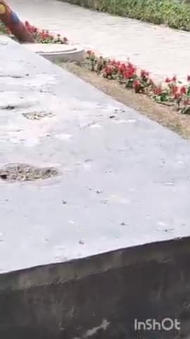 गौतम बुद्ध नगर: नोएडा के गोल्फ कोर्स के पास बने पार्क से कीमती मूर्ति और पौधे हुए चोरी, जांच में जुटी पुलिस