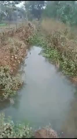 #Raebareli डीएम साहब.! सुनिए, इस किसान का दर्द,यहां न तो अधिकारी पहुंचते हैं और न ही मीडिया।
#नहर_की_सफाई_में_भ्रष्टाचार