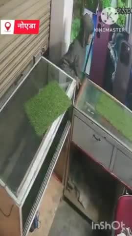 दादरी: गढ़ी चौखंडी गांव में सूनी पड़ी दुकान का शटर तोड़कर लाखों रुपए के मोबाइल चुराने वाला चोर हुआ फरार, घटना सीसीटीवी में कैद