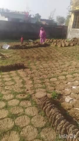 ग्राम पंचायत टांडा गुलाब राय का राजीव गांधी सेवा केंद्र बना उपलों का गोदाम