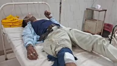 धौलपुर: गुलाब बाग के पास आवारा जानवरों को बचाने में अनियंत्रित होकर पलटा टेंपो, एक युवक गंभीर घायल