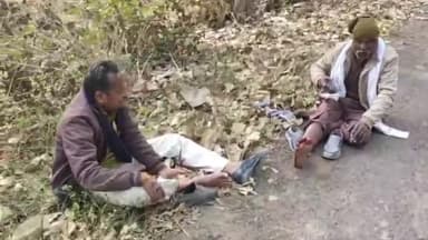 पिपरिया: पिपरिया पचमढ़ी मटकुली रोड पर चीतल से टक्कर, बाइक सवार युवक और बुजुर्ग घायल, चीतल की मौत