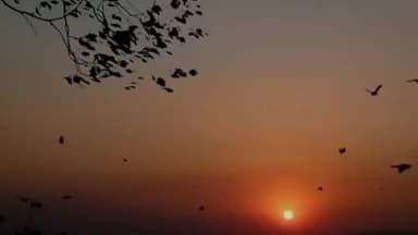 पिपरिया: महाकौशल फिल्म फेस्टिवल में नरवाई के स्थानीय कलाकारों की संदेशात्मक फिल्म होगी प्रदर्शित