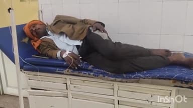 बांदा: महोखर गांव में खेत गए व्यक्ति पर मधुमक्खियों ने किया हमला, व्यक्ति की हालत बिगड़ी