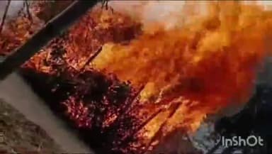 गोपालगंज: मानिकपुर गांव में भूमि विवाद के चलते हुई मारपीट में पांच लोग घायल, झोपड़ी में भी लगाई गई आग