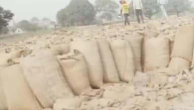सिंगरौली: 30, 31 दिसंबर और 1 जनवरी को धान उपार्जन स्थगित, 23 जनवरी 2025 तक किसानों से धान खरीद
