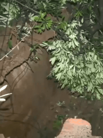 वसंत विहार: दिल्ली के आर पुरम में सड़क का हिस्सा धंसा