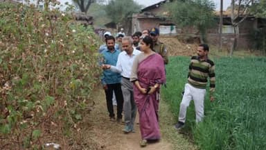 मेघनगर: झाबुआ कलेक्टर ने मेघनगर विकासखंड में किसानों के खेतों का दौरा किया, फसलों का निरीक्षण किया