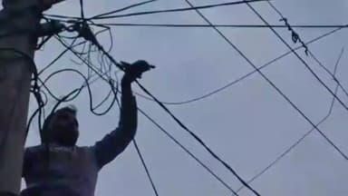 रायबरेली: गुरबक्शगंज पावर हाउस के अंतर्गत गांव में जान जोखिम में डालकर चलती लाइन में पोल पर चढ़ा कर्मचारी, वीडियो हुआ वायरल