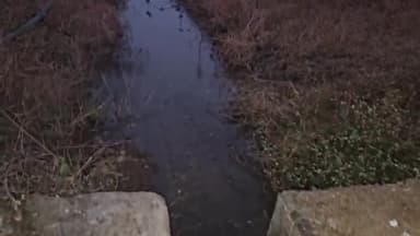 देवरी: सोनपुर बांध की नहर निर्माण में अनियमितता, सीपेज से किसानों की फसलें हो रही खराब