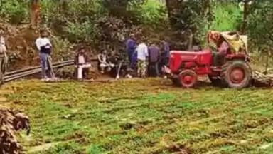 कटकमदाग: गंभीरिया कांड में जंगल के पास पुलिस ने एक एकड़ में लगी अफीम की खेती को किया नष्ट