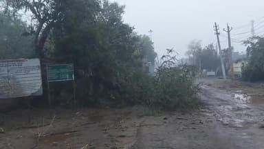 धौलपुर: जिले में तूफान ने मचाई भारी तबाही, दीवार गिरने से एक व्यक्ति की हुई मौत