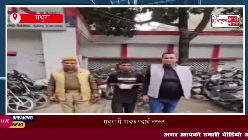 मथुरा में मादक पदार्थ तस्करी का भंडाफोड़, तीन आरोपी गिरफ्तार
#मथुरा #मादक #पदार्थ #तस्करी #भंडाफोड़ #तीन #आरोपी #गिरफ्ता