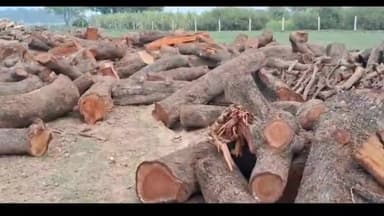 सिराथू: कमासिन के पास बिना रजिस्ट्रेशन के चल रही आरा मशीन की शिकायत पर वन अधिकारी ने कहा- जांच कर की जाएगी कार्रवाई