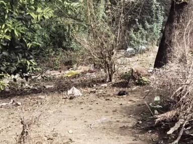 गरोठ: बोलिया गांव में नाले के पास महिला का शव मिला, पुलिस कर रही जाँच