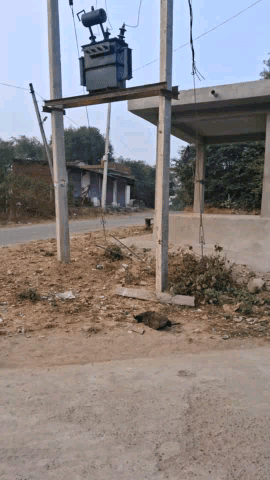 Ambedkar chauk Yadav basti chikhali DP lagi Hai vahan se mor ki current lagne se maut ho gai DP per baithane mat dena