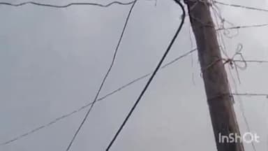 पीपलदा: इटावा थाना इलाके के रनोदिया गांव में बिजली के करंट लगने से राष्ट्रीय पक्षी मोर की हुई मौत, वन विभाग को दी गई सूचना