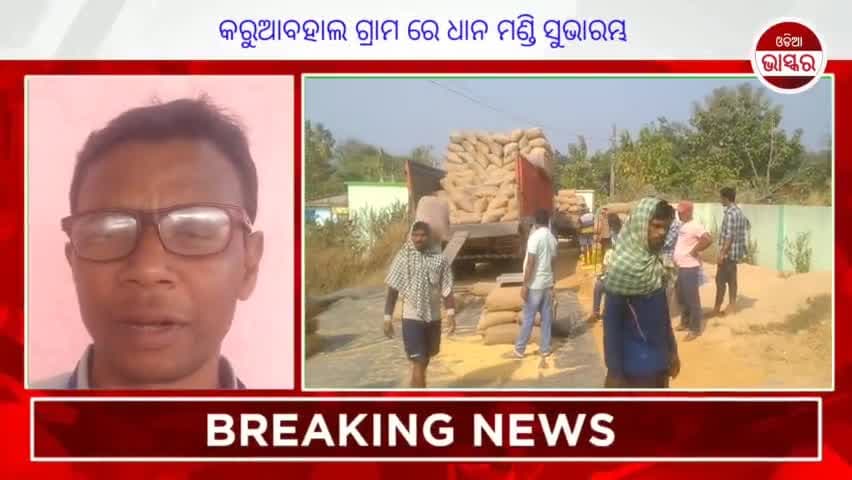 କିଞ୍ଜିରକେଲା: କିଞ୍ଜିରକେଳା ଲ୍ୟାମ୍ପସ ର କରୁଆବାହଲ ଠାରେ ଧାନକିଣା ଶୁଭାରମ୍ଭ  #Sundergarh