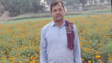 माडा: फूलों की प्राकृतिक खेती से किसान लक्ष्मी नारायण शाह को हुआ लाभ, लागत कम, मुनाफा अधिक