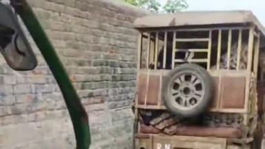 अमरोहा: अमरोहा शहर में ई-रिक्शा चालकों की लापरवाही से एंबुलेंस जाम में आधा घंटा फंसी, मरीज की हालत बिगड़ी