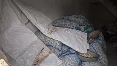 देवरी: देवरी में नेशनल हाईवे 44 टिकरिया चौराहे के पास गोदाम से 40 कट्टी लहसुन चोरी