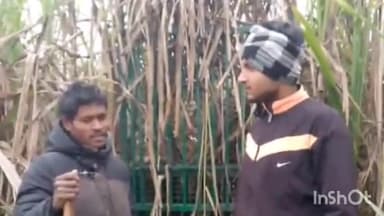 बिजनौर: गांव बांकपुर में गुलदार ने 2 बकरियों को बनाया निवाला, वन विभाग की टीम ने मौके पर लगाया पिंजरा