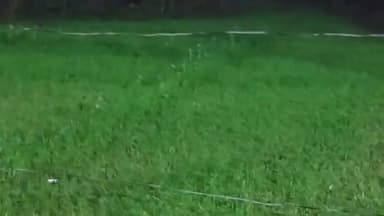 अमरोहा: अमरोहा नगर में चुना भट्टी के पास चल रहे जुए के कारोबार में पुलिस ने दो लोगों को पकड़ा, दरोगा की तहरीर पर मुकदमा दर्ज