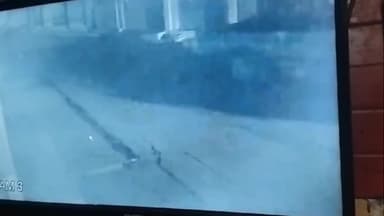 बीकानेर: नत्थूसर गेट स्थित जोशी की क्रीम पार्लर में अनियंत्रित होकर घुसी कार, टला बड़ा हादसा