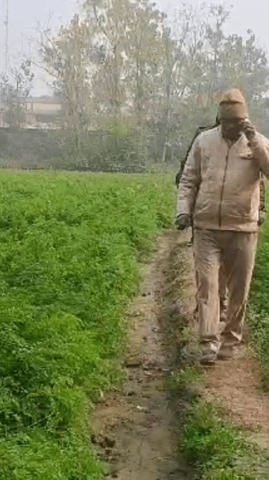 मेरठ: रिठानी गांव के जंगलों में तेंदुआ देखे जाने से ग्रामीणों में हड़कंप, वन विभाग की टीम ने कहा- नहीं है तेंदुए के साक्ष्य