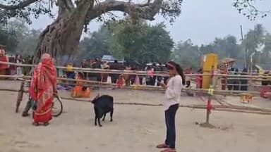 चेरिया बरियारपुर: जयमंगलागढ़ में नव वर्ष के दूसरे दिन भी भीड़ का हुजूम उमड़ा