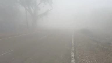 राजाखेड़ा: राजाखेड़ा में घने कोहरे के कारण 10 मीटर तक रही विजिबिलिटी, वाहन चालकों को हो रही परेशानी
