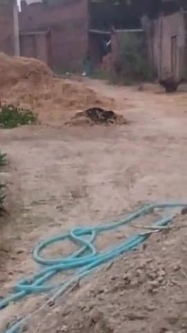 #sultanpur #uppolice #sc #st @UPPolice @sultanpurpolice 
@rmnews.sultanpur #sc #st
के द्वारा अपना स्वयं टीना टप्पर गिराय