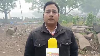औरैया: जिलाधिकारी के आदेश के बाद वन विभाग ने लकड़ी मंडी में पड़ी लकड़ियों को ज़ब्त करने की कार्रवाई की