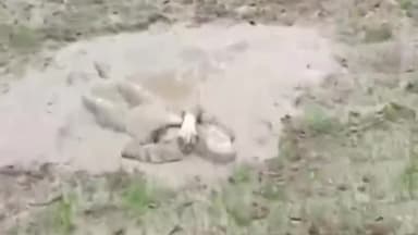 सिराथू: अट्सराय गाँव में कीचड़ में एक लाश मिलने से मची सनसनी, हत्या की आशंका में पुलिस जांच में जुटी