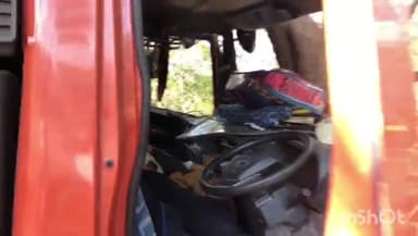 सिरोंज: भोपाल रोड घाटी पर ब्रेक फेल होने से ट्रक पेड़ से टकराया, चालक घायल