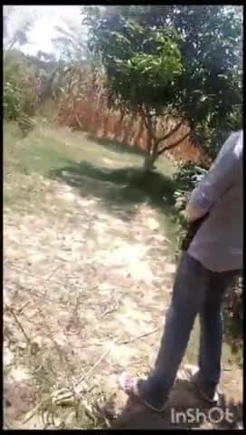 कहरा: सदर थाना क्षेत्र के कहरा कुटी में एक युवक का वीडियो तेजी से वायरल उक्त युवक का नाम कुन्दन कुमार पिता आनंदी दास है।