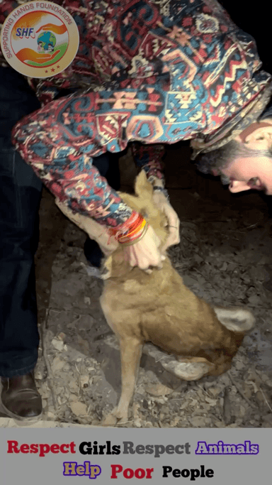 नही जाता तो मार जाता ये डॉग लोगो का कहिना था उम्मीद करता हु आछा हो 🙏🏻

Respect Girls help poor help animals 

#apsgurjar