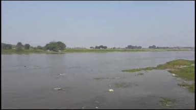 इटावा: बढ़पुरा इलाके के सुनवारा गांव के पास यमुना नदी में मृत अवस्था में मिला मगरमच्छ का शव, जाल में फंसकर मौत की आशंका जताई गई