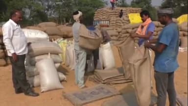 अकलतरा: कोटगढ़ धान खरीदी केंद्र में हर तौल में किसानों से 1 से 1.5 किलो अधिक धान लिया जा रहा, कलेक्टोरेट पहुंचकर की शिकायत