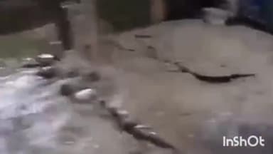 जमुई: निमारंग के पास जमीन फटकर अचानक निकलने लगा पानी का फव्वारा