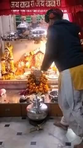 सुजानदेसर मंदिर बीकानेर
आज दसम के शुभ दर्शन