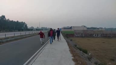 सिराथू: नरसिंहपुर में छुट्टा जानवरों से परेशान किसान हाथ में डंडा लेकर दिन-रात भागने को मजबूर, कहा- नहीं होती सुनवाई